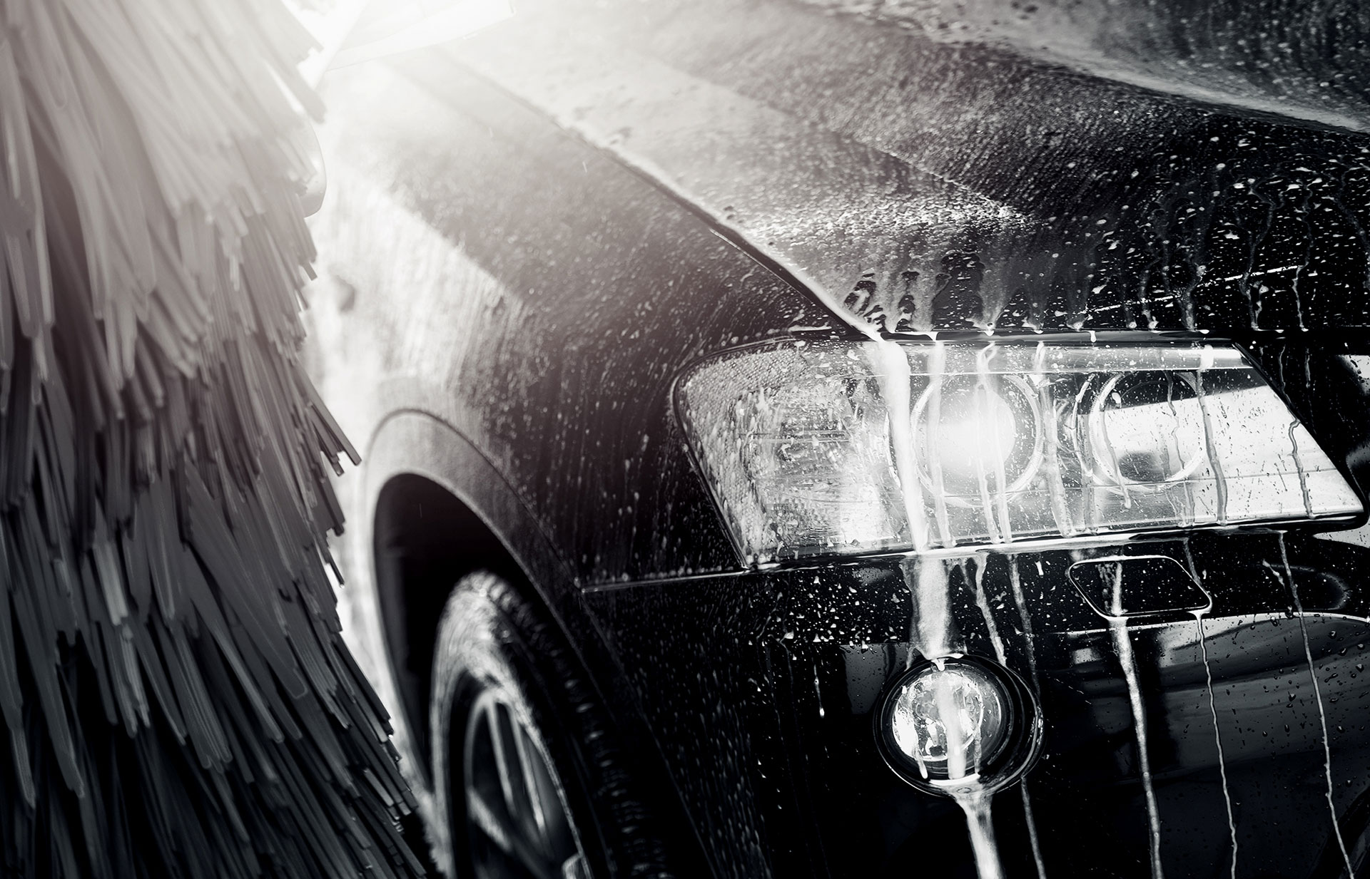 Carwashing at Velocity Carwash
